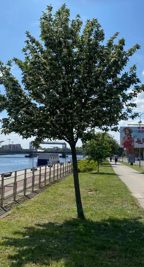 Floating Apartments - Odra Dream Szczecin Kültér fotó